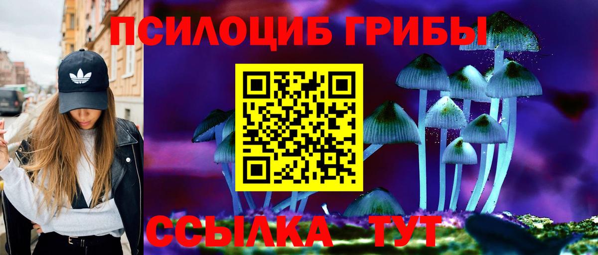 Галлюциногенные грибы мухоморы  закладка  Новоалтайск  Вход с VPN  Псилоцибиновые грибы GOLDEN TEACHER 